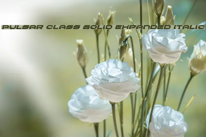 Pulsar Class Solid Expanded Italic Example 2