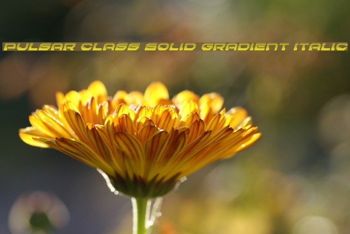 Pulsar Class Solid Gradient Italic Font examples