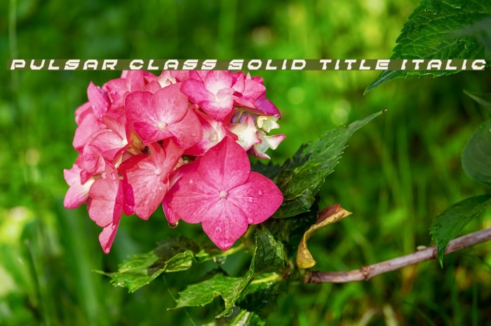 Pulsar Class Solid Title Italic Font examples
