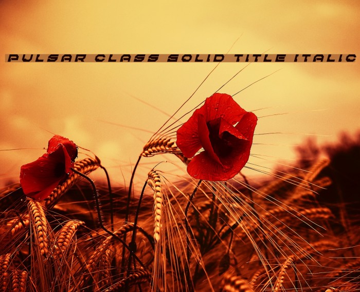 Pulsar Class Solid Title Italic Font examples