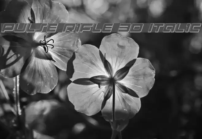 Pulse Rifle 3D Italic Font examples