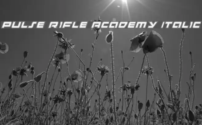 Pulse Rifle Academy Italic Polices examples