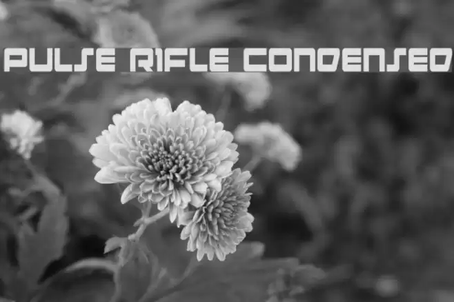 Pulse Rifle Condensed Polices examples