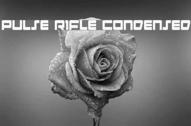 Pulse Rifle Condensed Polices examples