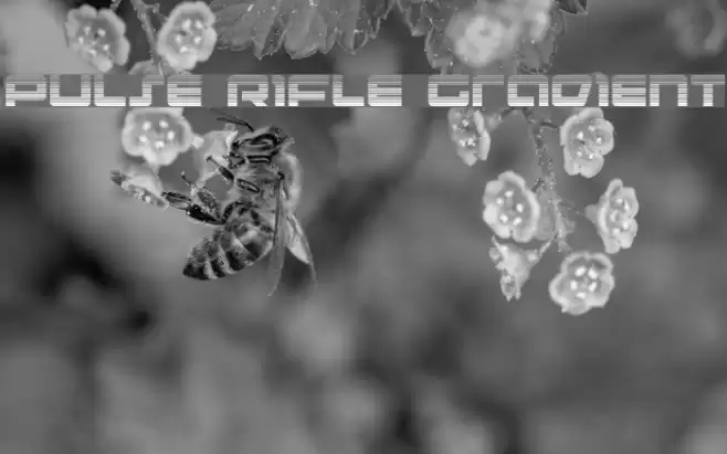 Pulse Rifle Gradient Polices examples