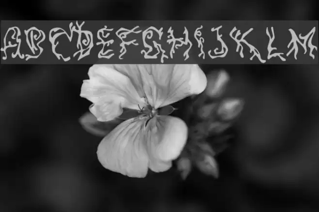 Pulse State Font examples