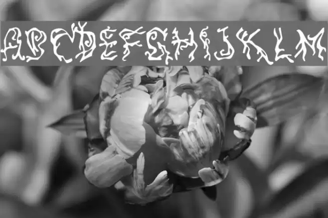 Pulse State Font examples