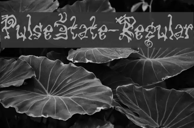 PulseState-Regular Font examples
