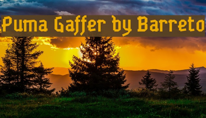 Puma Gaffer by Barreto Example 1