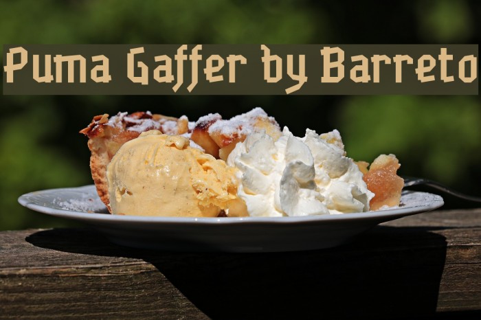 Puma Gaffer by Barreto Example 3