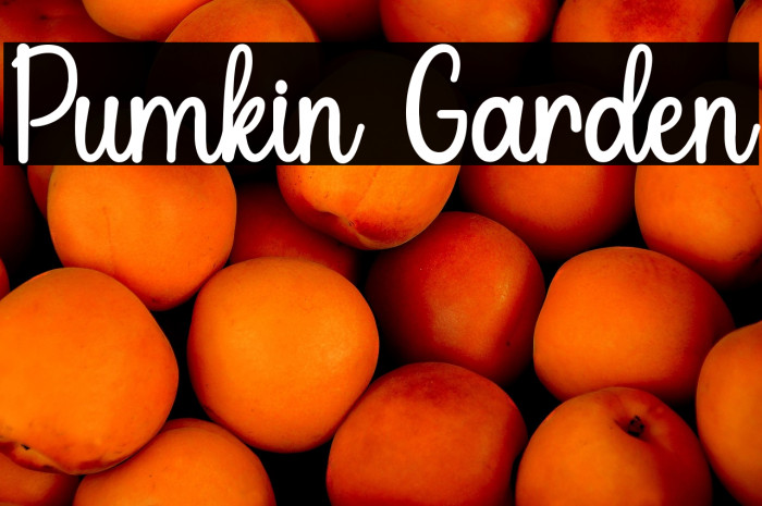 Pumkin Garden Font examples