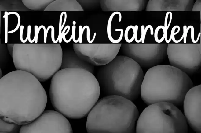 Pumkin Garden Fonte examples