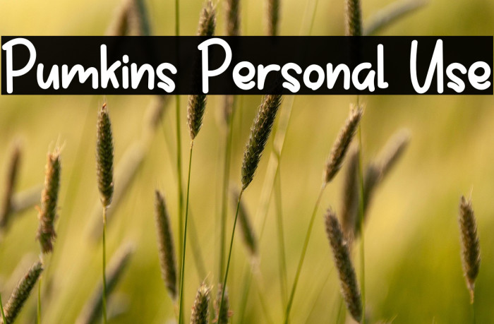 Pumkins Personal Use Example 2