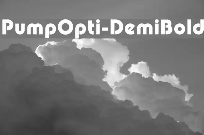 PumpOpti-DemiBold Polices examples