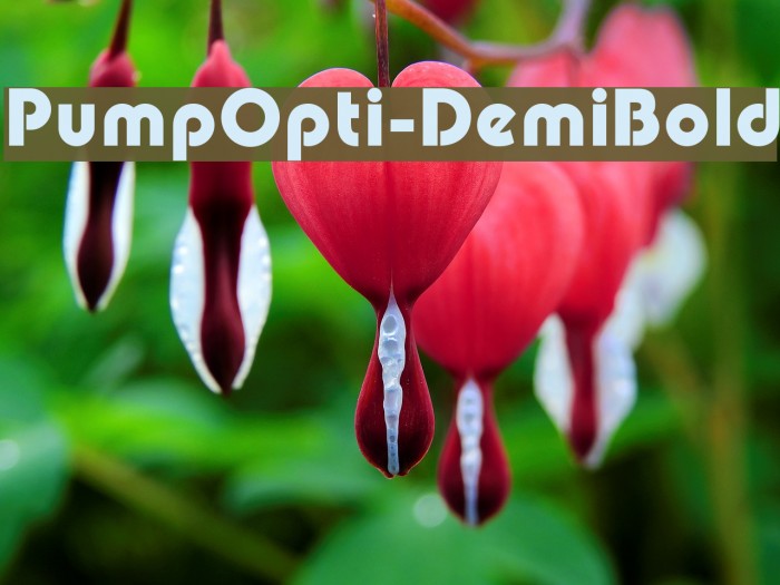 PumpOpti-DemiBold Font examples