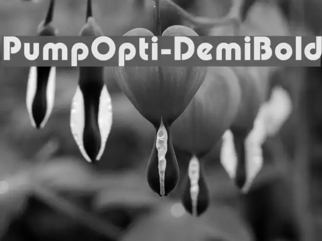 PumpOpti-DemiBold Polices examples