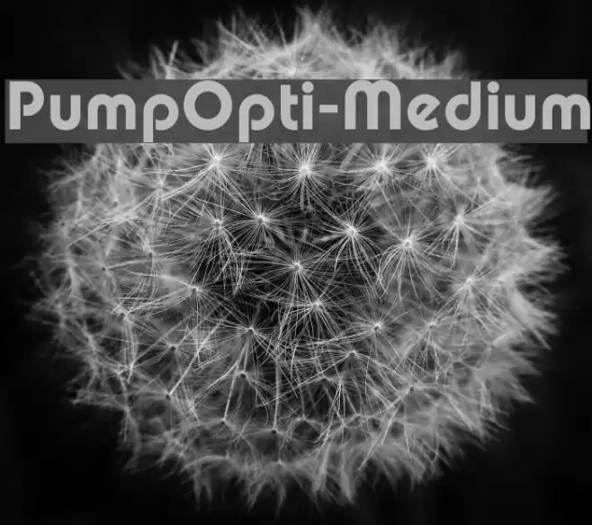 PumpOpti-Medium フォント examples