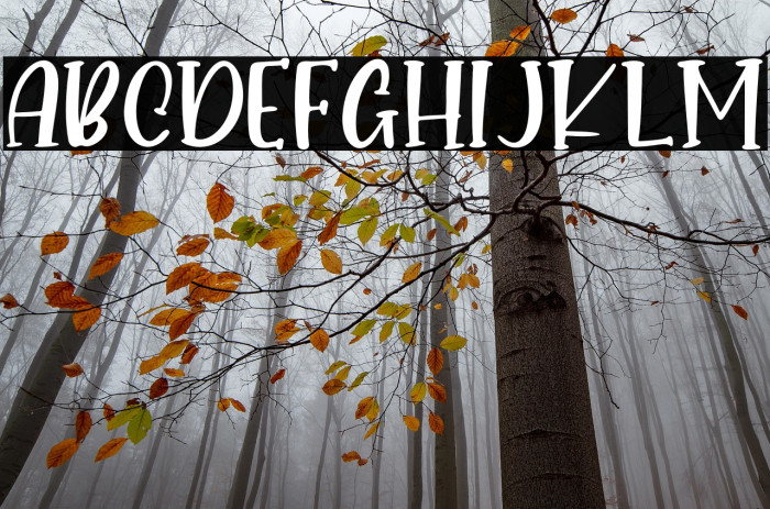 Pumpkin Babes - Personal Use Example 3