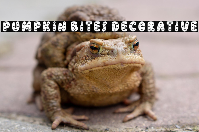 Pumpkin Bites Decorative Example 1