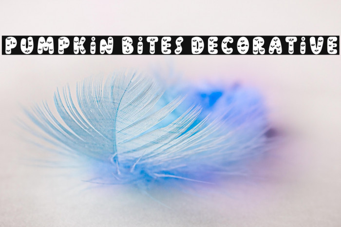 Pumpkin Bites Decorative Example 2