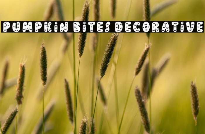 Pumpkin Bites Decorative Example 3