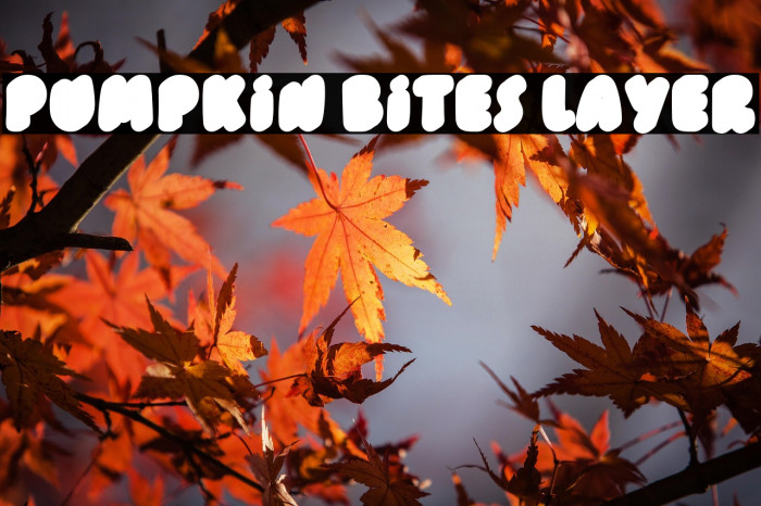 Pumpkin Bites Layer Example 2