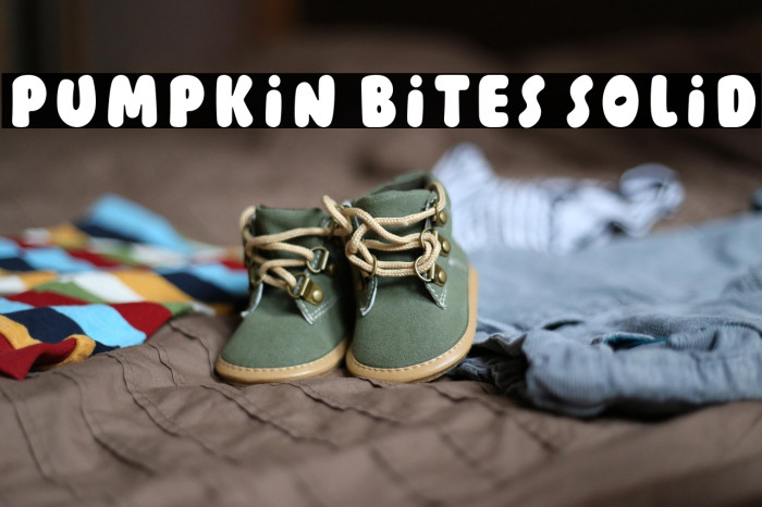 Pumpkin Bites Solid Example 1