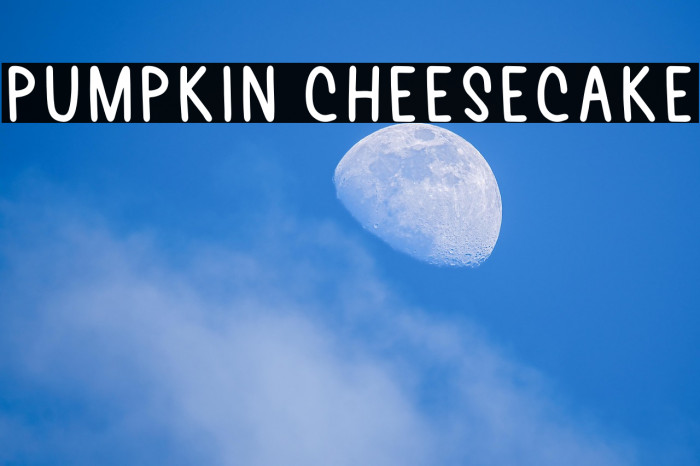 Pumpkin Cheesecake Example 2