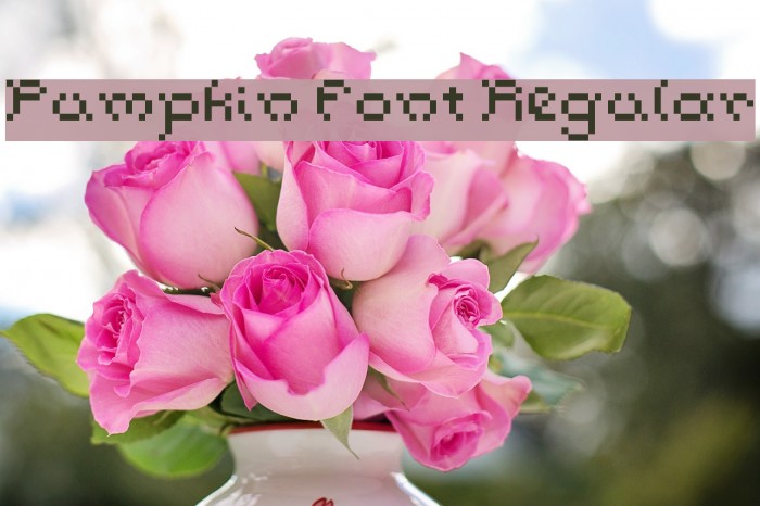 Pumpkin Font Regular Font examples