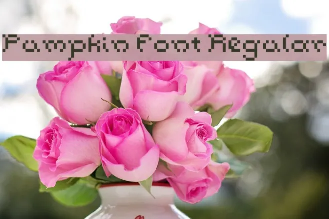 Pumpkin Font Regular Example 1