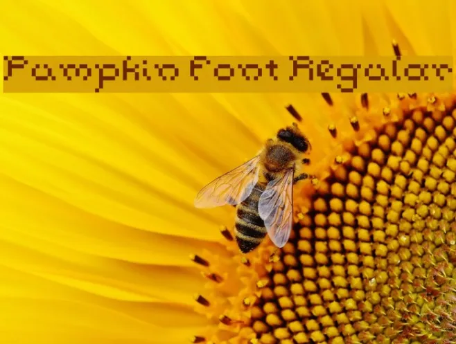 Pumpkin Font Regular Example 3