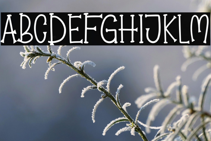 Pumpkin Jack Example 2