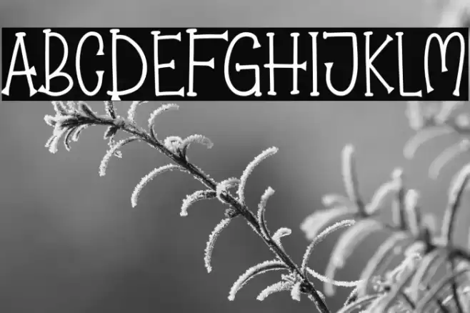 Pumpkin Jack Font examples