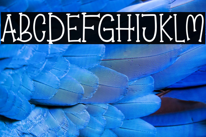 Pumpkin Jack Example 3