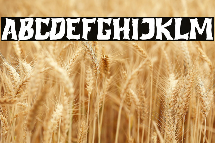 Pumpkin Night Example 1