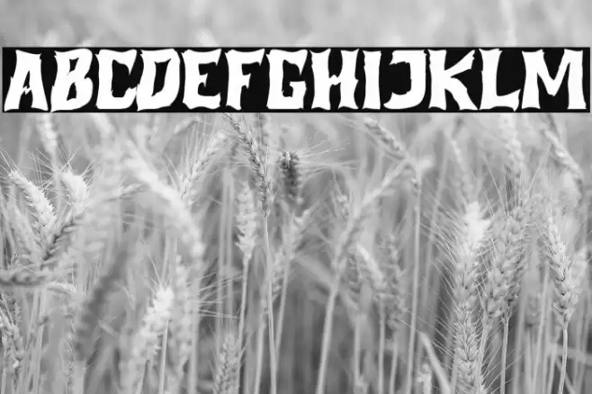 Pumpkin Night Font examples