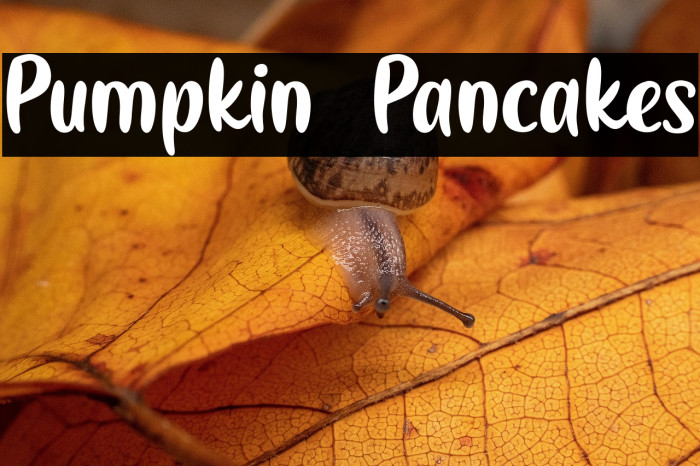Pumpkin Pancakes Example 2