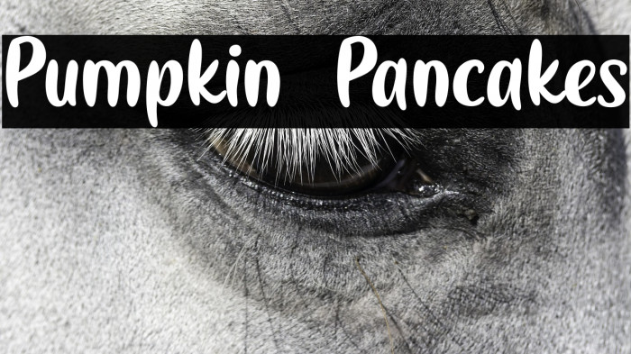 Pumpkin Pancakes Example 3