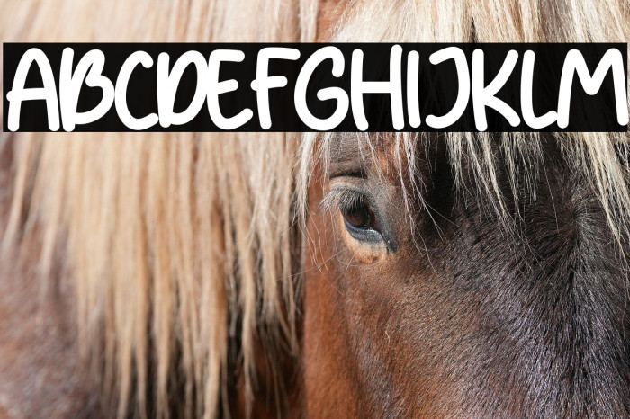 Pumpkin Patch Example 3