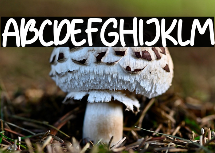 Pumpkin Patch Example 3