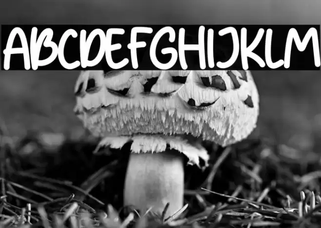 Pumpkin Patch Font examples