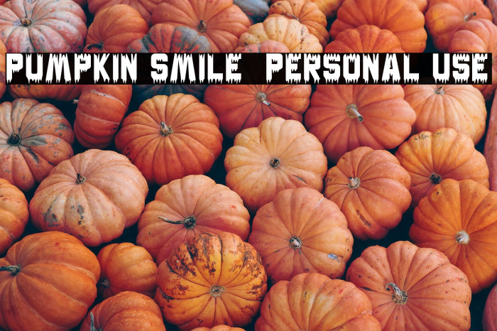 Pumpkin Smile - Personal Use Example 1
