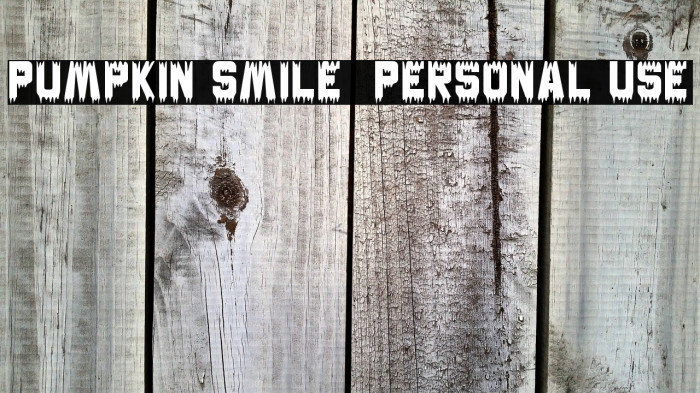 Pumpkin Smile - Personal Use Example 3