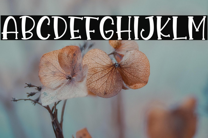 Pumpkin Spice Example 2