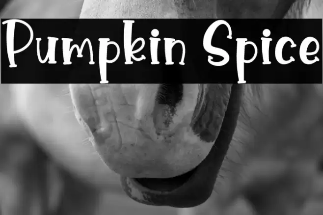 Pumpkin Spice Font examples