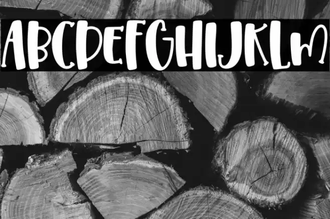 Pumpkin Syrup Solid Font examples