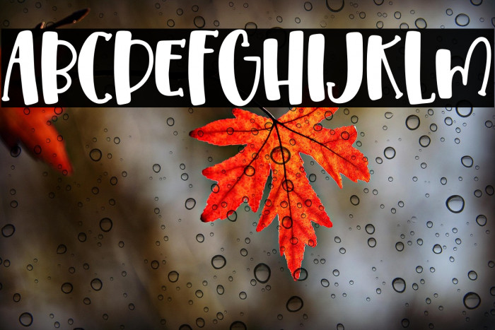 Pumpkin Syrup Solid Example 2