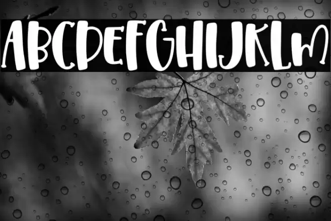 Pumpkin Syrup Solid Font examples