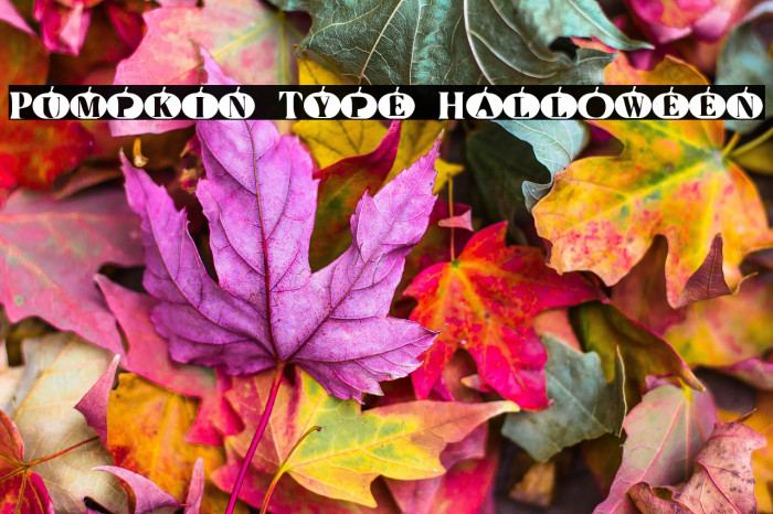 Pumpkin Type Halloween Example 1