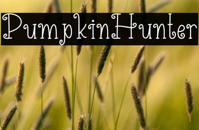 PumpkinHunter Example 1